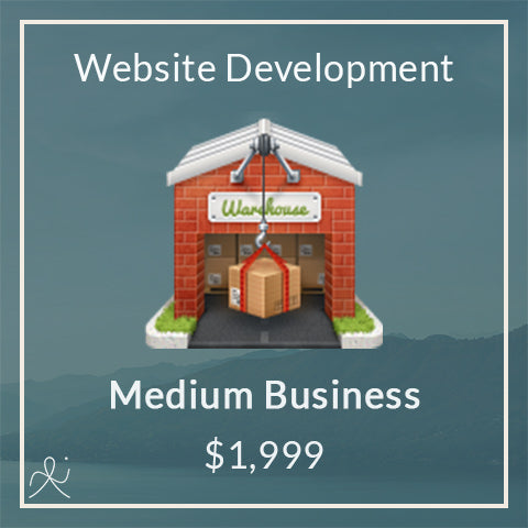 Medium Business Website