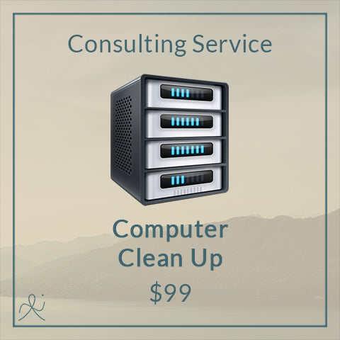 Computer Clean Up Service